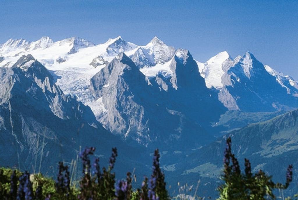 Sonnenblick Appartement Brienz (Bern)